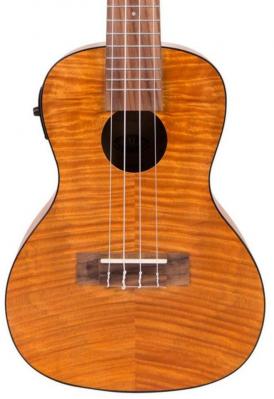 Ukulélé Kala Exotic Mahogany Concert w/ EQ - Mahogany