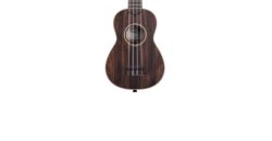 Ukulélé Kala STRIPED EBONY SERIES - Naturel