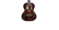 Ukulélé Kala PREMIER EXOTIC TENOR ZIRICOTE - Naturel