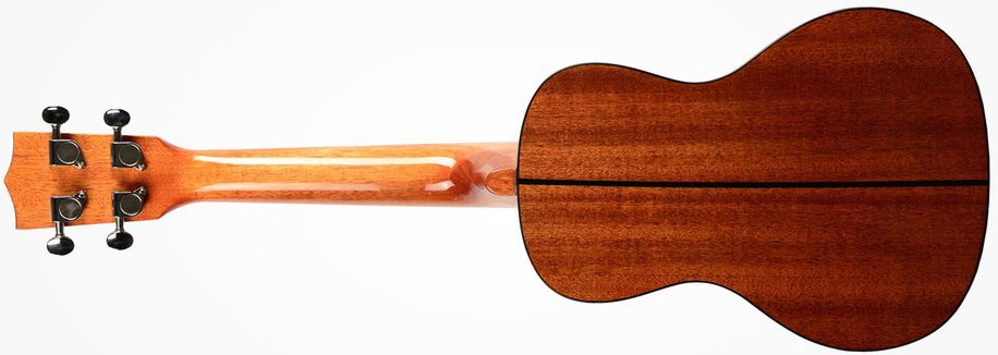 Kala Ka-scg Solid Spruce Mahogany Concert Epicea Acajou Lau - Natural - UkulÉlÉ - Variation 2