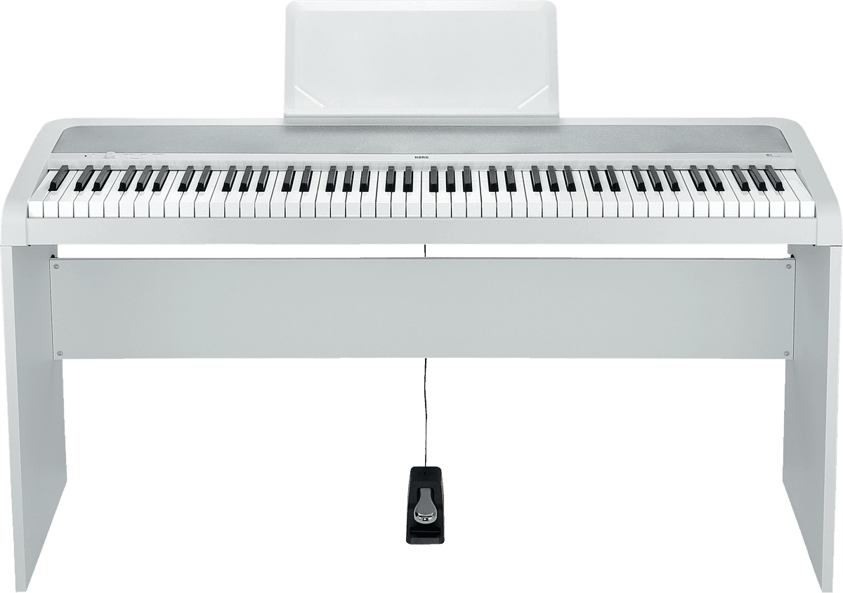Korg B1 - White - Piano NumÉrique Portable - Variation 2