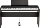 B2+ SP Noir