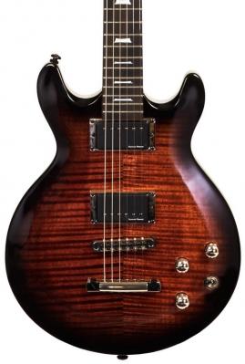 Guitare électrique solid body Lag Roxane R500 - Black shadow