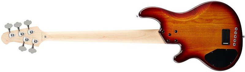 Lakland 55-02 Deluxe Qmt Skyline 5c Active Mn - Honey Burst Gloss - Basse Électrique Solid Body - Variation 1