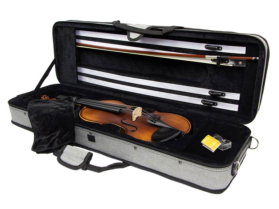 Leonardo Lv-1844 Elementary Series 4/4 - Violon Acoustique - Variation 1