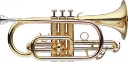 Cornet étude Levante CR5205