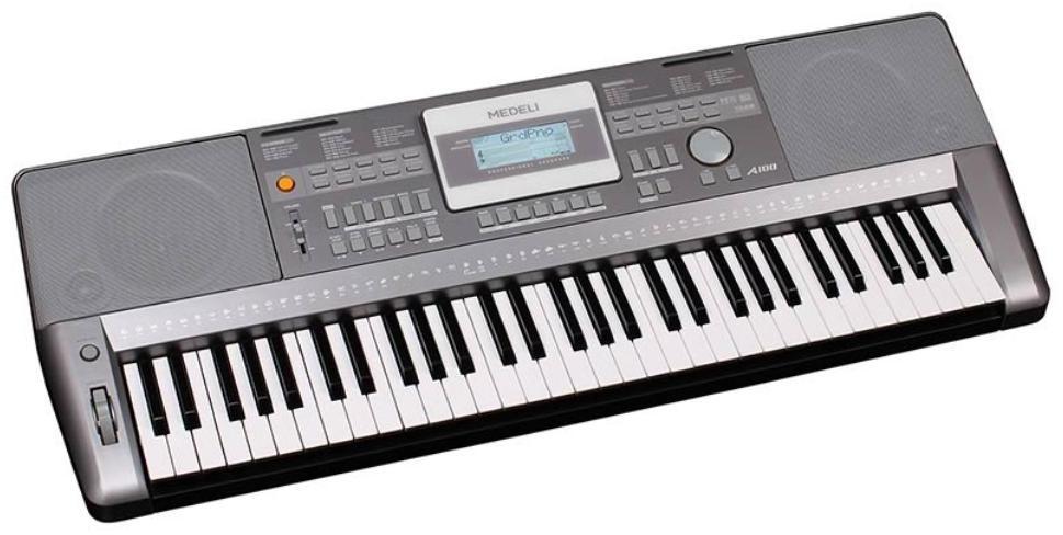 Clavier arrangeur Medeli A100S