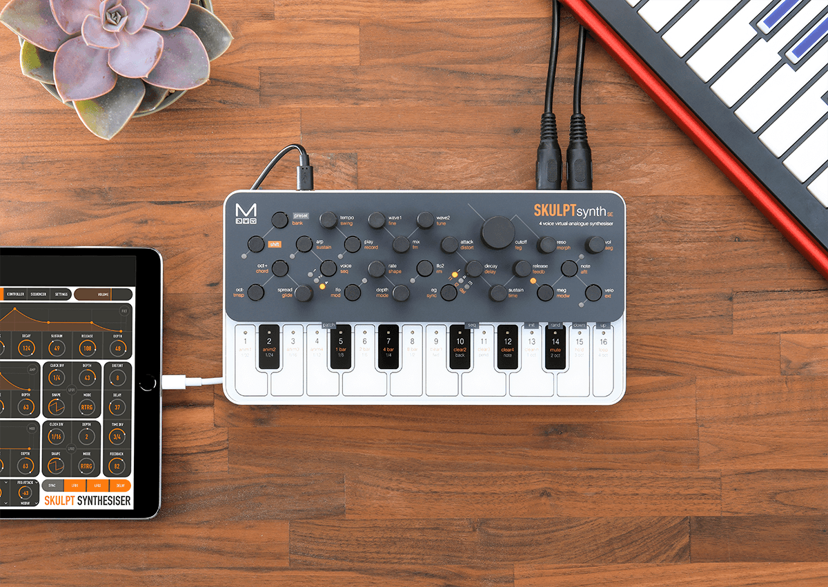 Modal Electronics Skulpt Synth Se - SynthÉtiseur - Variation 6