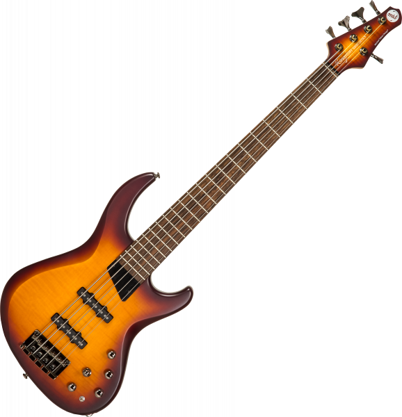 Mtd Kingston Saragota Deluxe KSDX5LA 5-String - cherry burst