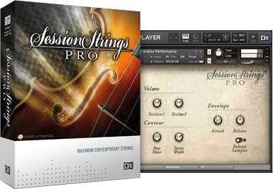 Native Instruments Session Strings Pro - Instrument Virtuel - Main picture
