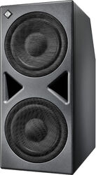 Caisson sub sono actif Neumann KH 870 II