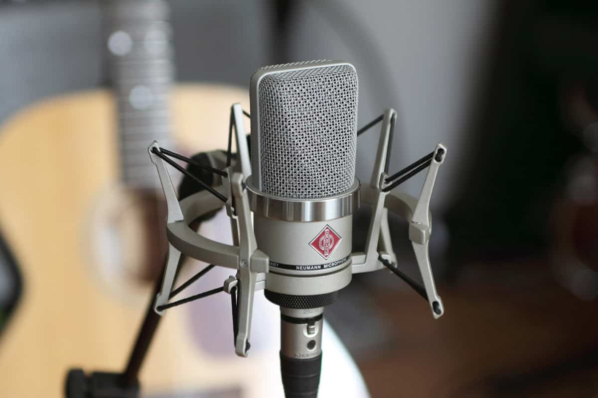 Neumann Tlm 102 - Micro Statique Large Membrane - Variation 4