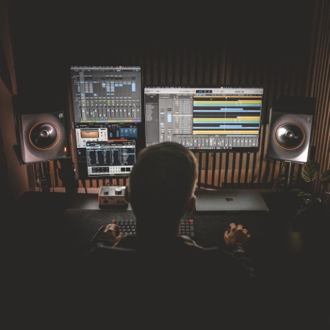 Palmer Orbit 11 - La PiÈce - Enceinte Monitoring Active - Variation 7