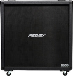 Ampli guitare électrique combo  Peavey 6505 Cab 4x12 300W