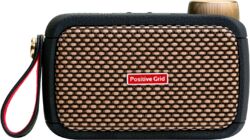 Mini ampli guitare Positive grid Spark Go