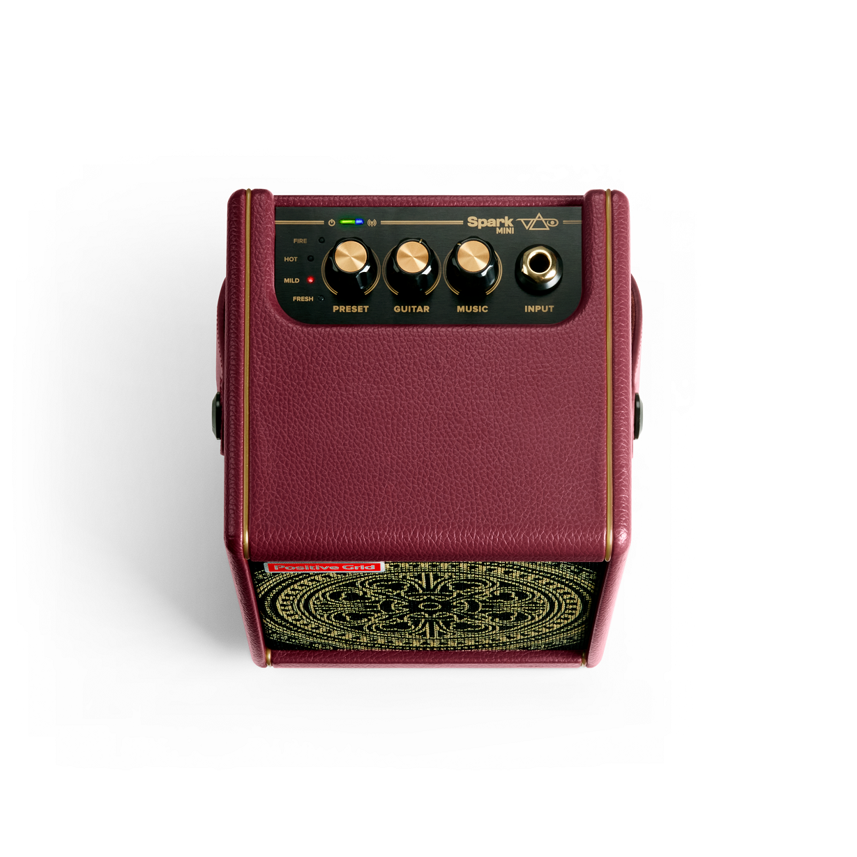 Positive Grid Spark Mini Artist Series Vai Combo 10w 2x2 - Ampli Guitare Électrique Combo - Variation 2