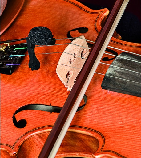 Prodipe Vl21-c Lanen Violin - Micro Instrument - Variation 3