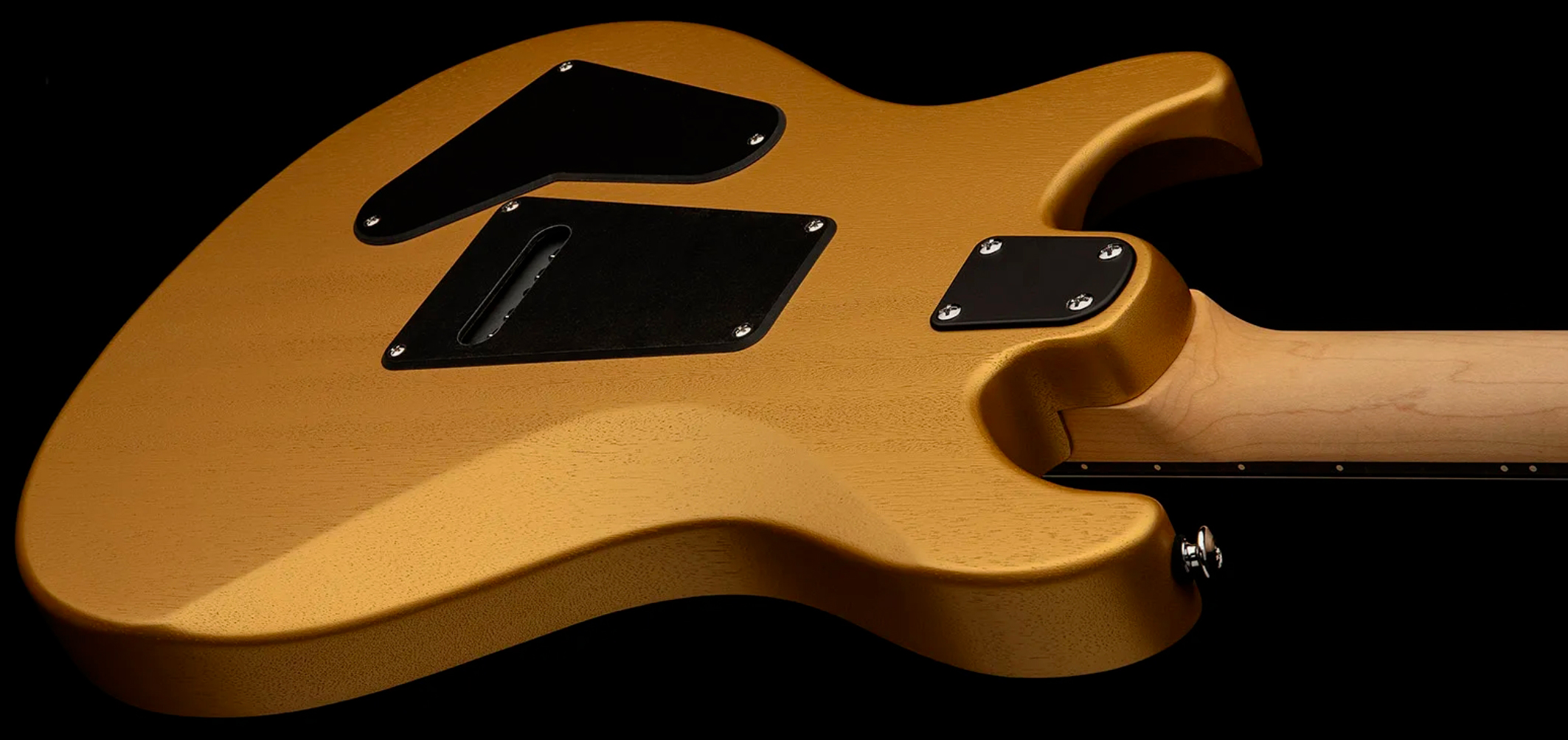 Prs Ce24 Standard Satin Wing Tuners Se Bolt-on 2h Trem Rw - Metallic Gold - Guitare Électrique Double Cut - Variation 4