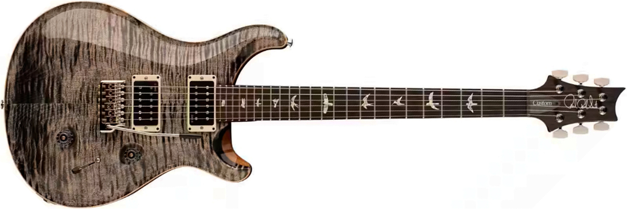 Prs Custom 24 Usa 2h Dmo Trem Rw - Charcoal - Guitare Électrique Double Cut - Main picture