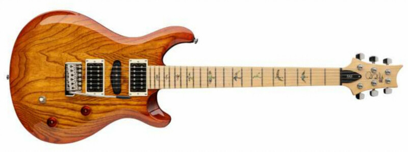 Prs Se Swamp Ash Special Hsh Trem Frene Mn - Vintage Sunburst - Guitare Électrique Double Cut - Main picture