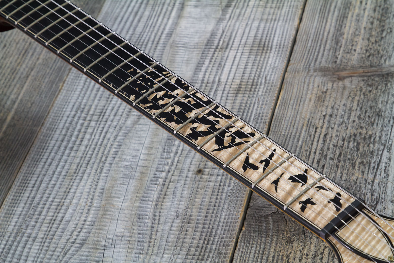 Prs Custom 24-08 Private Stock Hand-signed Usa 2h Trem Rw #0385255 - Mccarty Glow - Guitare Électrique Double Cut - Variation 5