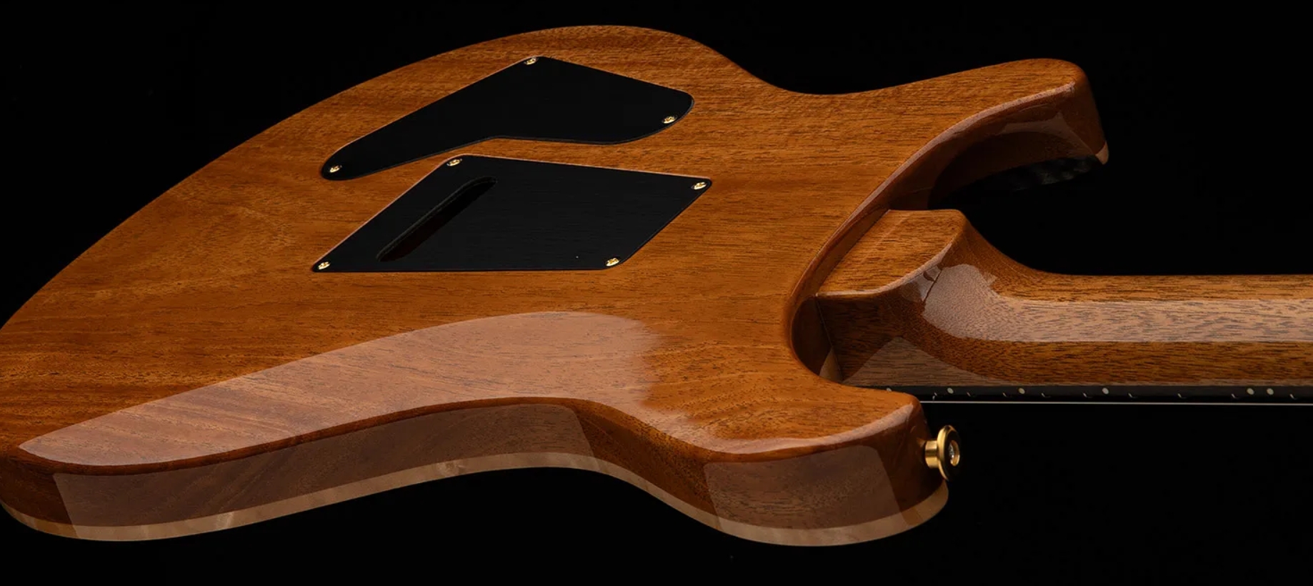 Prs Custom 24-08 Usa 2h Tci Trem Rw - Aurora Borealis - Guitare Électrique Double Cut - Variation 3