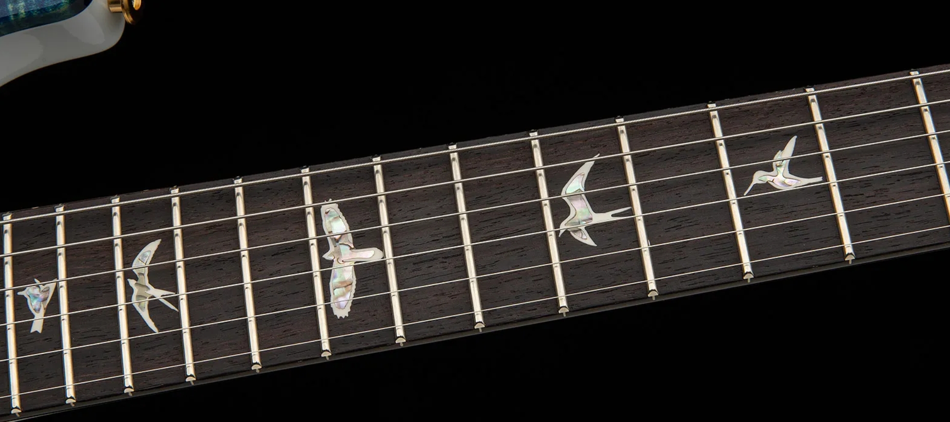 Prs Custom 24-08 Usa 2h Tci Trem Rw - Black Top / Natural Back - Guitare Électrique Double Cut - Variation 3