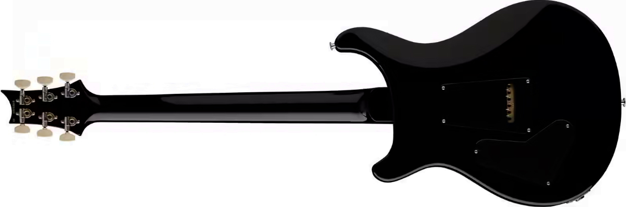 Prs Custom 24 Usa 2h Dmo Trem Rw - Charcoal - Guitare Électrique Double Cut - Variation 1