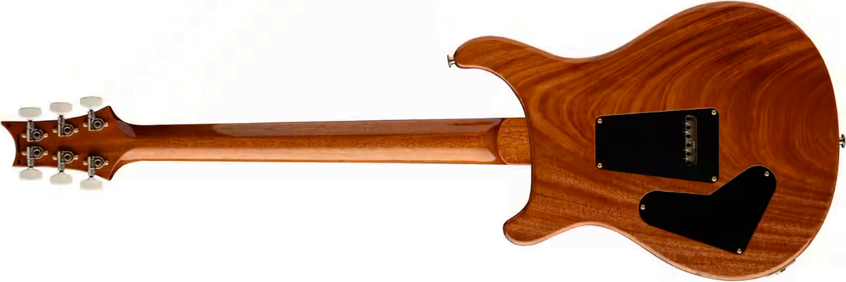 Prs Custom 24 Usa 2h Dmo Trem Rw - Carroll Blue - Guitare Électrique Double Cut - Variation 1