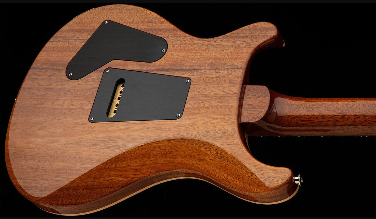 Prs Custom 24 Usa 2h Dmo Trem Rw - Aurora Borealis - Guitare Électrique Double Cut - Variation 2