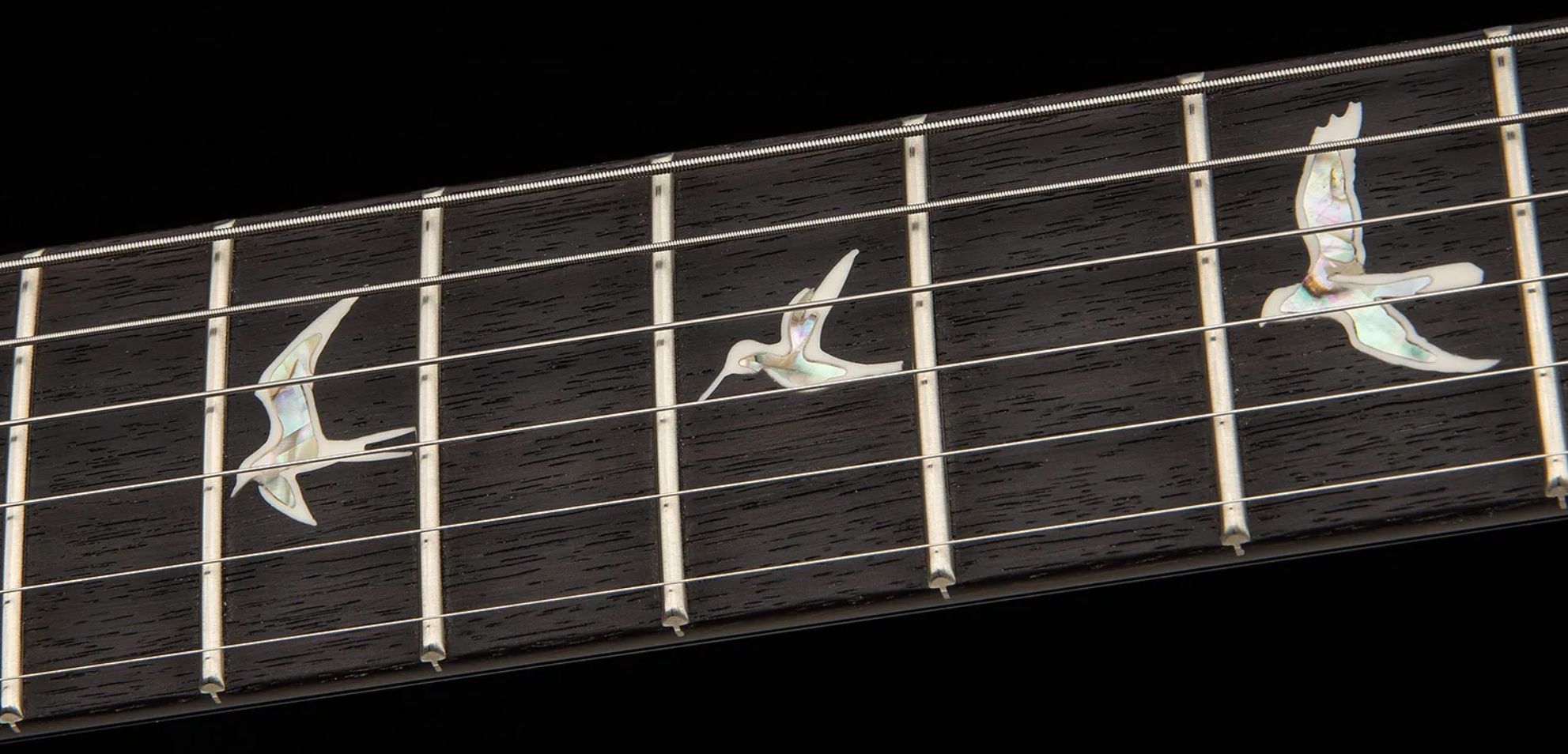 Prs Custom 24 Usa 2h Dmo Trem Rw - Black Rainbow Holoflake - Guitare Électrique Double Cut - Variation 3