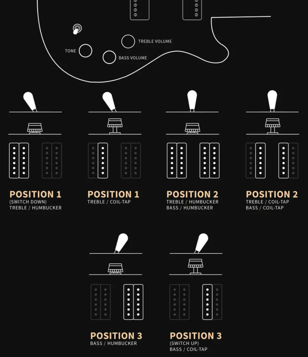 Prs David Grissom Dgt Se Signature 2h Trem Rw - Gold Top Moon Inlays - Guitare Électrique Double Cut - Variation 3