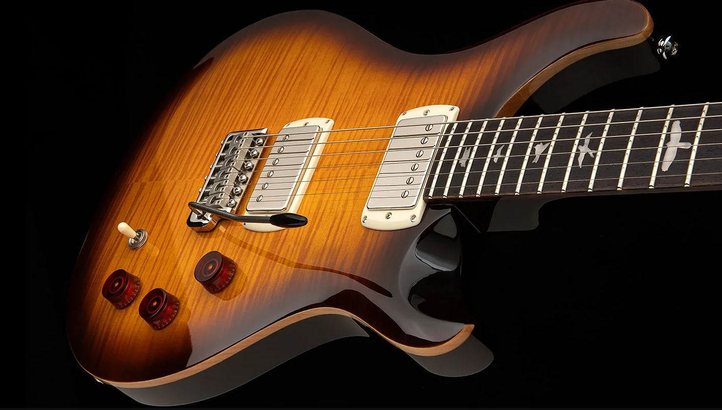 Prs David Grissom Dgt Se Signature Birds 2h Trem Rw - Mccarty Tobacco Sunburst - Guitare Électrique Double Cut - Variation 5