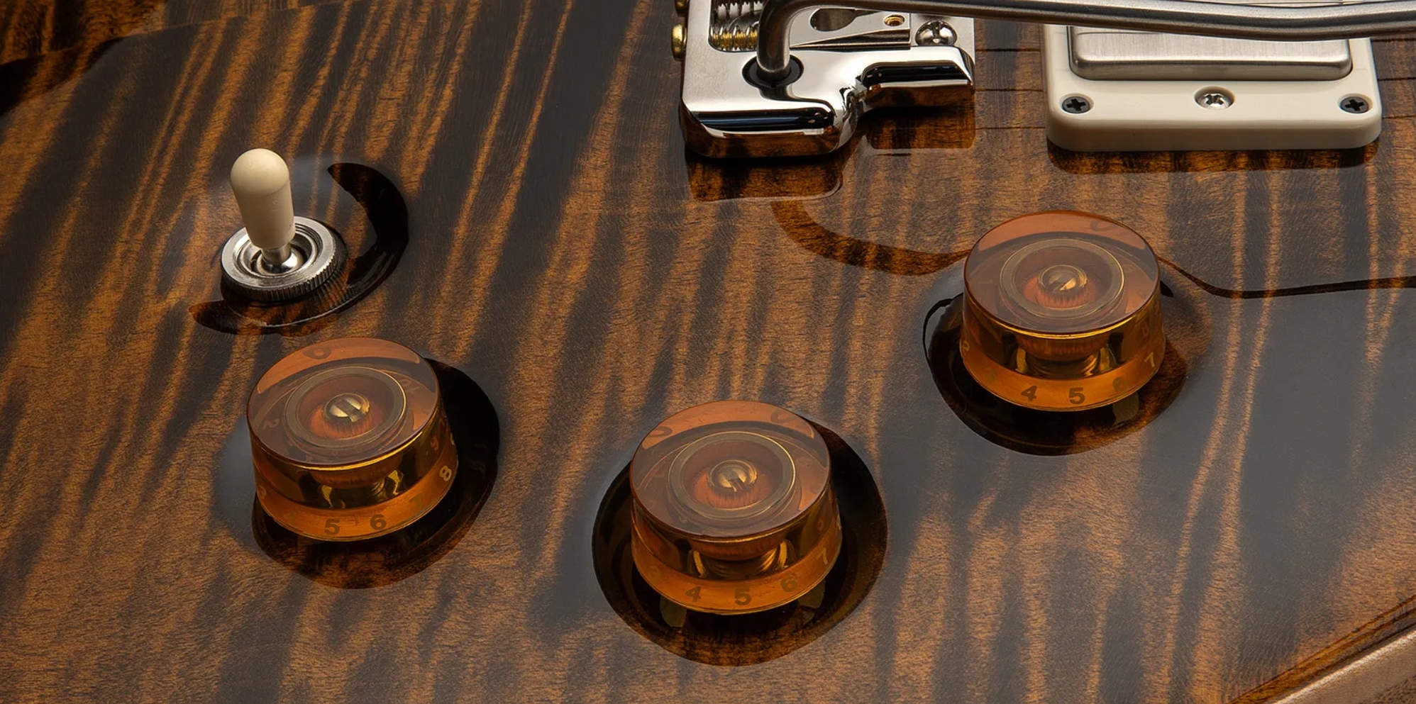 Prs David Grissom Dgt Usa Signature 2h Trem Rw - Tiger Eye - Guitare Électrique Double Cut - Variation 3