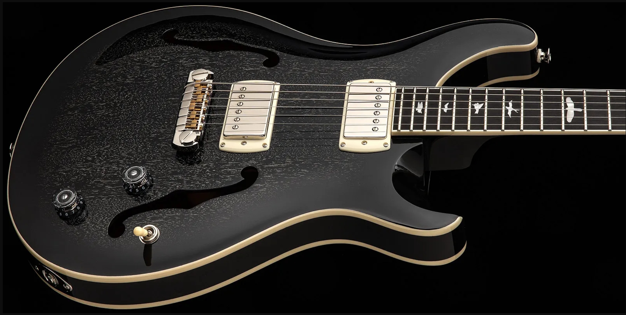 Prs Hollowbody Standard Se 2h Ht Eb - Dog Hair Smokeburst - Guitare Électrique 1/2 Caisse - Variation 3