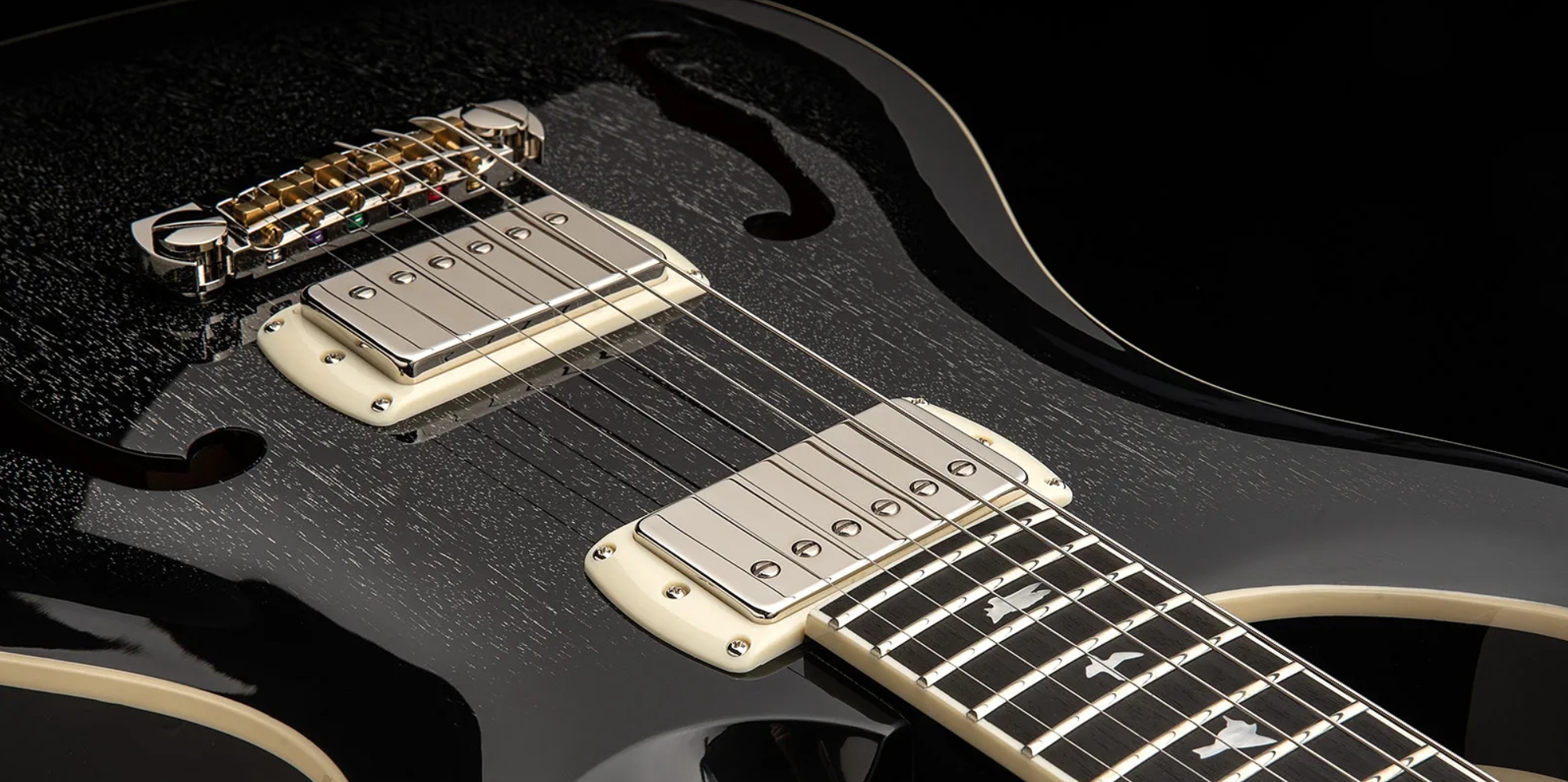 Prs Hollowbody Standard Se 2h Ht Eb - Dog Hair Smokeburst - Guitare Électrique 1/2 Caisse - Variation 4