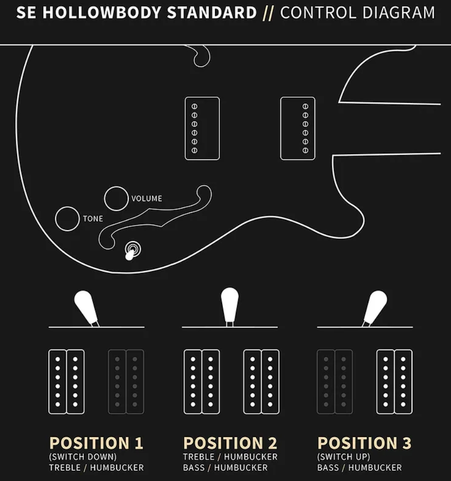 Prs Hollowbody Standard Se 2h Ht Eb - Dog Hair Smokeburst - Guitare Électrique 1/2 Caisse - Variation 6