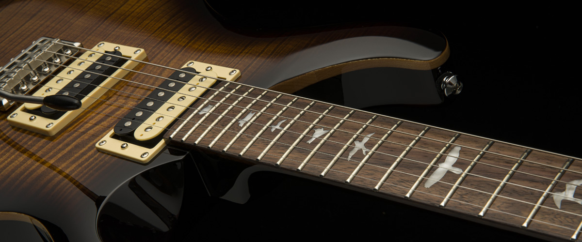 Prs Se Custom 24 2021 Hh Trem Rw +housse - Black Gold Burst - Guitare Électrique Double Cut - Variation 1
