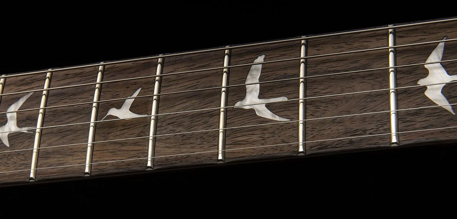 Prs Se Custom 24 2023 2h Trem Rw - Faded Blue - Guitare Électrique Double Cut - Variation 4