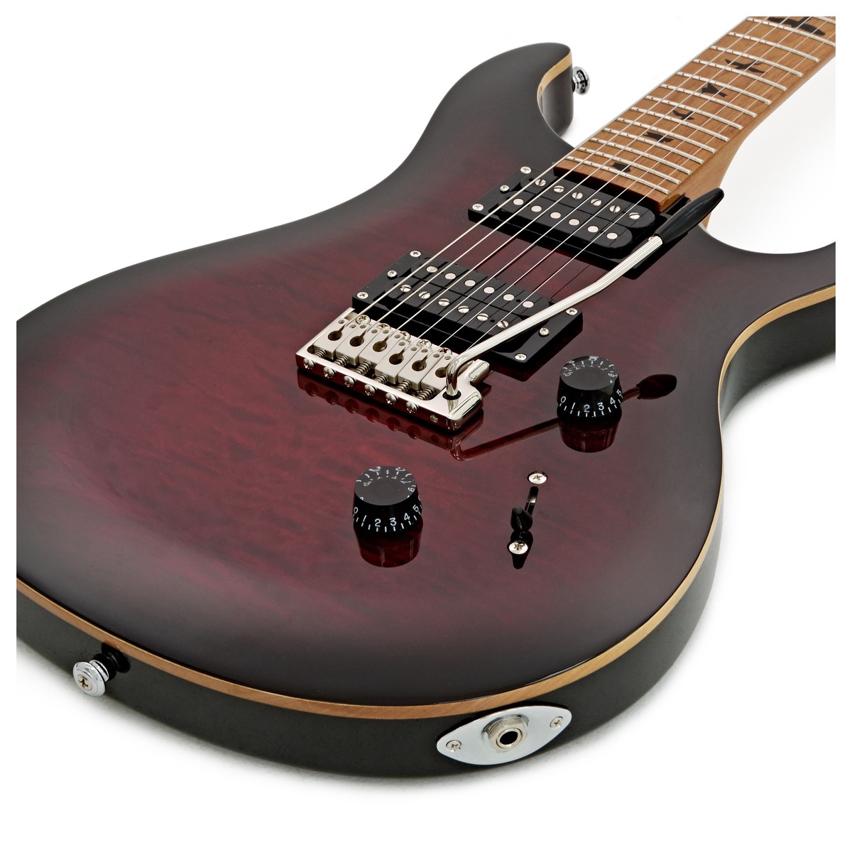 Guitare électrique solid body Prs SE Custom 24 Roasted Maple Limited
