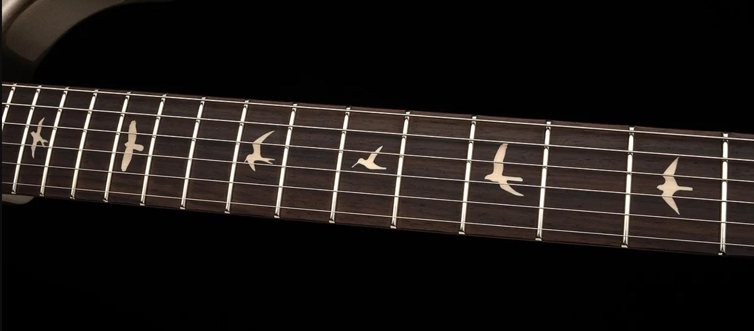 Prs Silver Sky Defender Se Ltd Signature 3s Trem Rw - Carpathian Grey - Guitare Électrique Forme Str - Variation 3