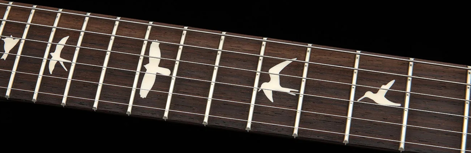 Prs Standard 24 S2 Usa 2h Trem Rw - Matcha Green Satin - Guitare Électrique Double Cut - Variation 3