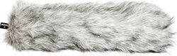 Dead Wombat