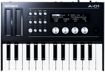 Roland Boutique A-01k - Expandeur - Main picture