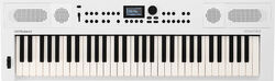 Clavier arrangeur  Roland GO:KEYS5-WH