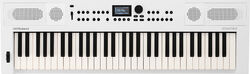 Clavier arrangeur Roland GO:KEYS 5-WH