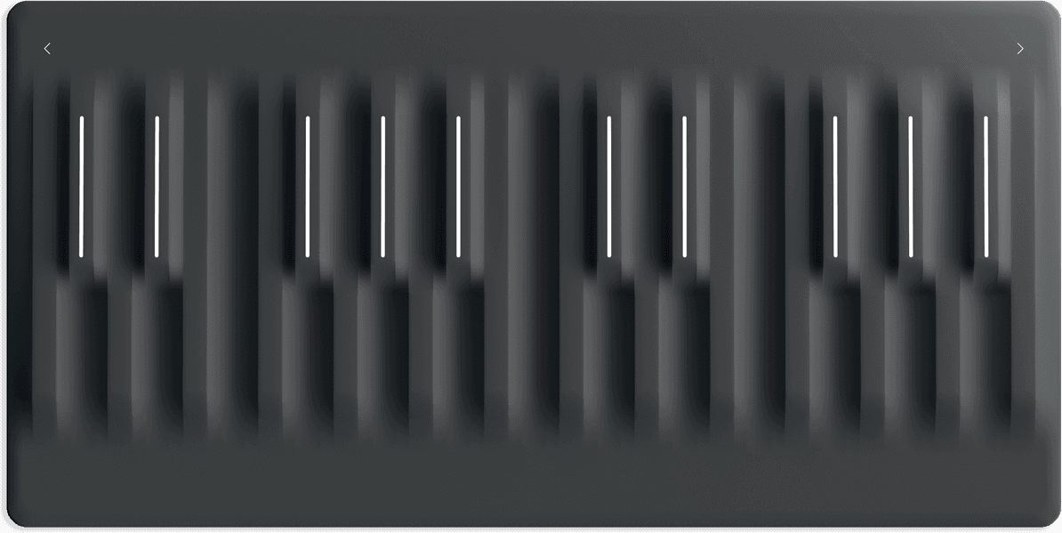 Roli Seaboard-block - Clavier MaÎtre - Main picture