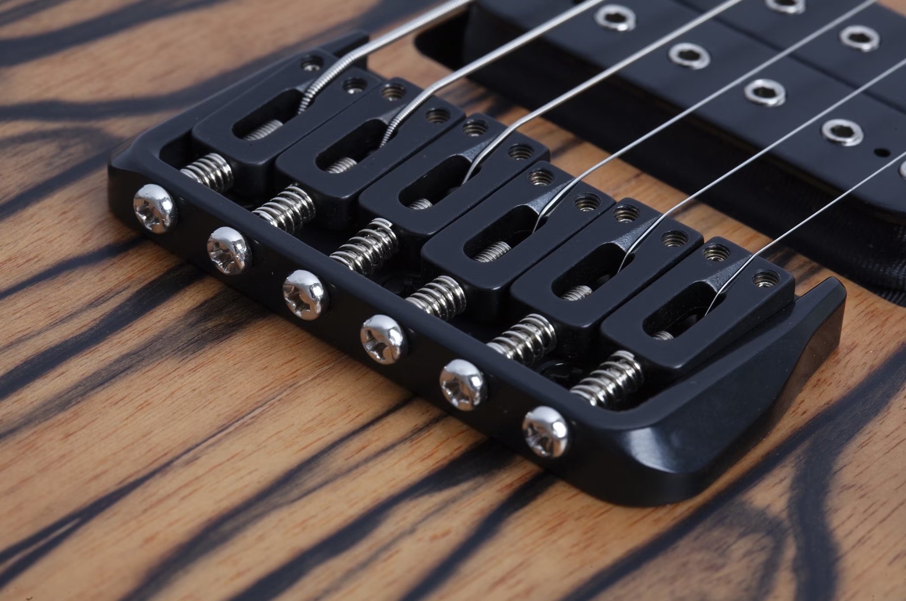 Schecter C1 Pale Moon 2h Ht Ric - Natural Satin Black Burst - Guitare Électrique Forme Str - Variation 4