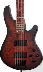 C-5 Standard 5-String - tobacco burl