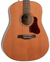 Guitare folk Seagull Coastline Momentum A/E HG +bag - Natural